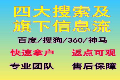 SEM代理服务：助力企业精准营销案例解析