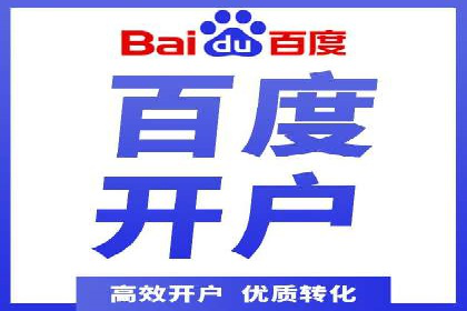 某电商平台的SEM广告投放策略及效果评估